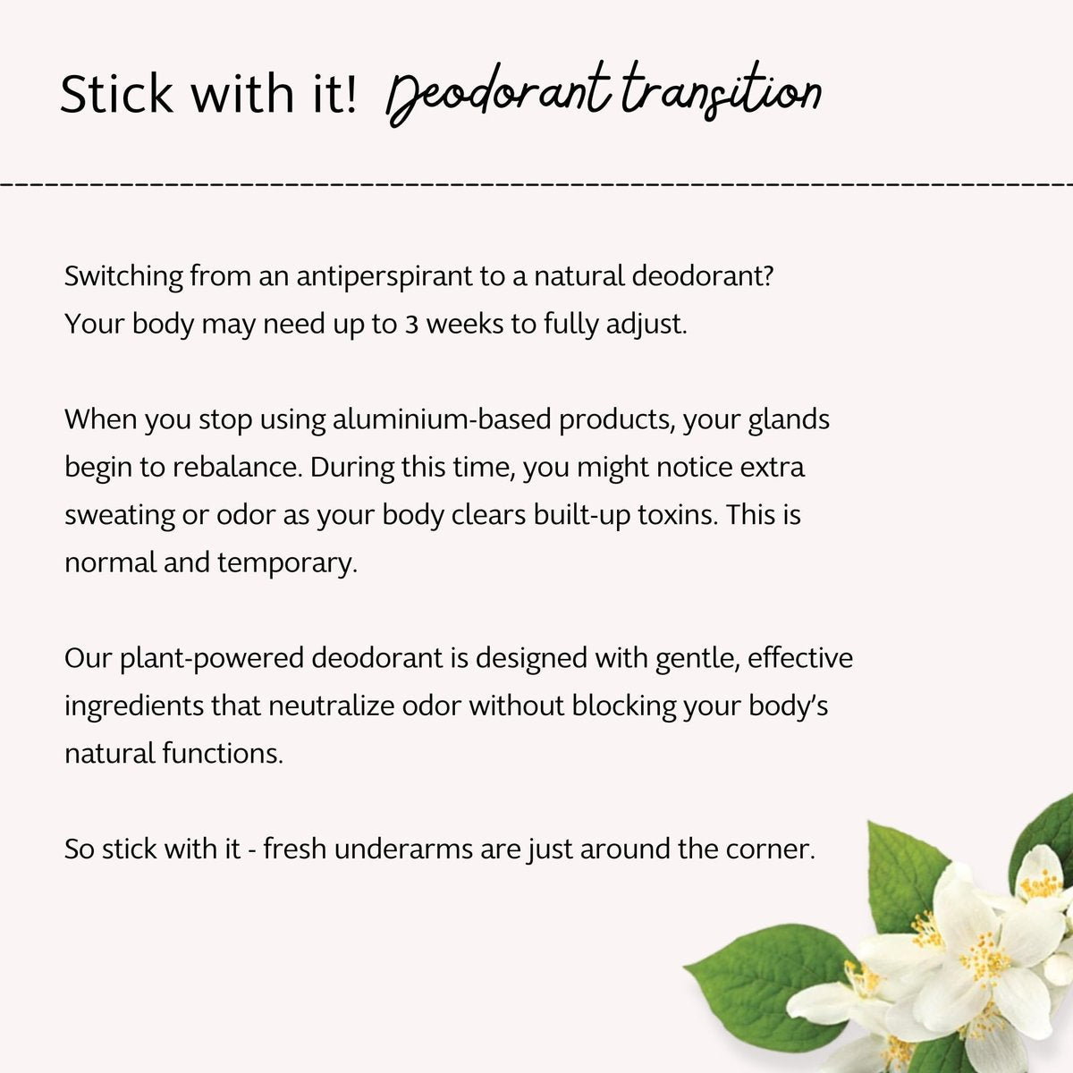 Slo Natural Deodorant - Lavender + Jasmine, All Natural Ingredients, Vegan & Cruelty Free, 1.94 oz - görsel 11