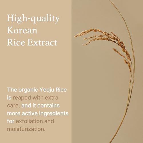 I'm from Rice Sheet Mask Pack of 5 - Korean Face Mask for Dry & Combination Skin, Milky Hydration, Vegan & Biodegradable Avelisse