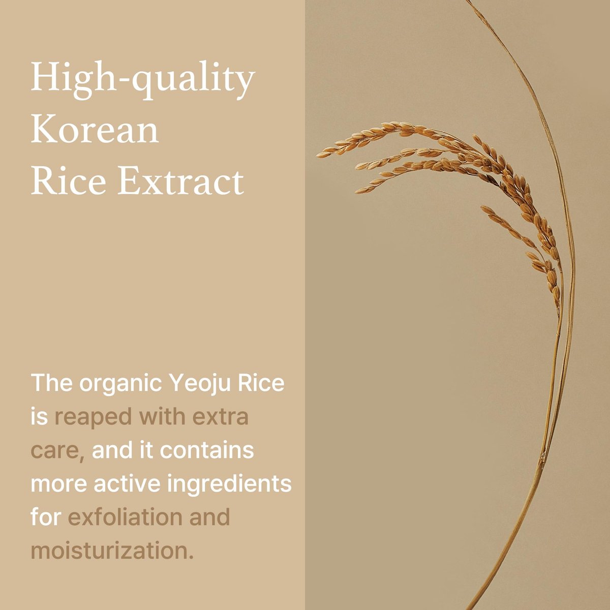 I'm from Rice Sheet Mask Pack of 5 - Korean Face Mask for Dry & Combination Skin, Milky Hydration, Vegan & Biodegradable Avelisse