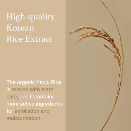 I'm from Rice Sheet Mask Pack of 5 - Korean Face Mask for Dry & Combination Skin, Milky Hydration, Vegan & Biodegradable Avelisse