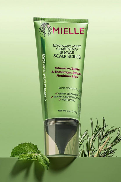 Mielle Organics Rosemary & Mint Sugar Exfoliating Scalp Scrub - Gentle Pre-Shampoo Dry Scalp Treatment for Oil & Product Buildup - Biotin Infused Non-Drying, Moisturizing Formula (6 Fl Oz)
