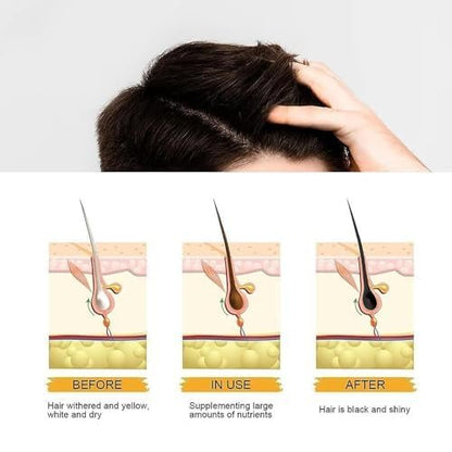 QUAAM Purple Rain Shampoo Bar for Gray Hair – 2-Pack, Nourishing Shampoo Bars for Thinning Hair, Men & Women