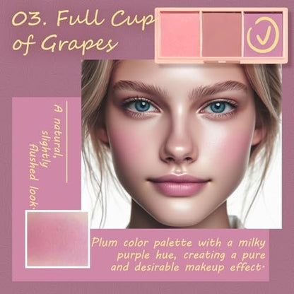3 Color Matte Pink Blush Palette with Brush – Long Lasting Cheek Makeup, Light & Smooth Blush Powder for Face Beauty