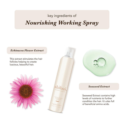 Shibui Nourishing Working Spray – Buildable Hold & Shine, Color-Safe, Vegan & Sulfate-Free, 10 Fl Oz Avelisse