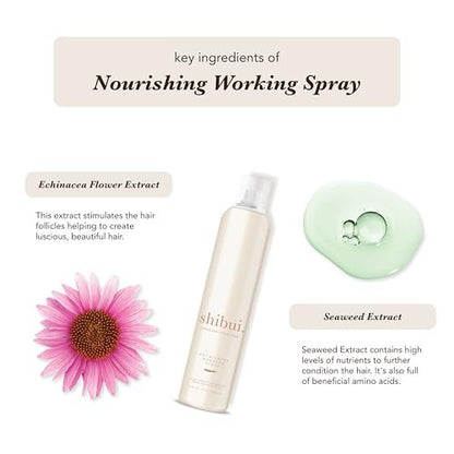 Shibui Nourishing Working Spray – Buildable Hold & Shine, Color-Safe, Vegan & Sulfate-Free, 10 Fl Oz Avelisse