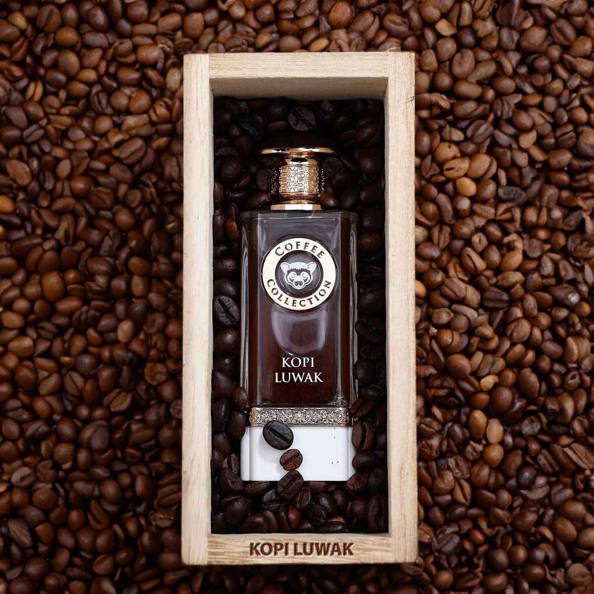 Kopi Luwak Eau de Parfum 100ml by Fragrance World – Exquisite Gourmand Fragrance - görsel 3