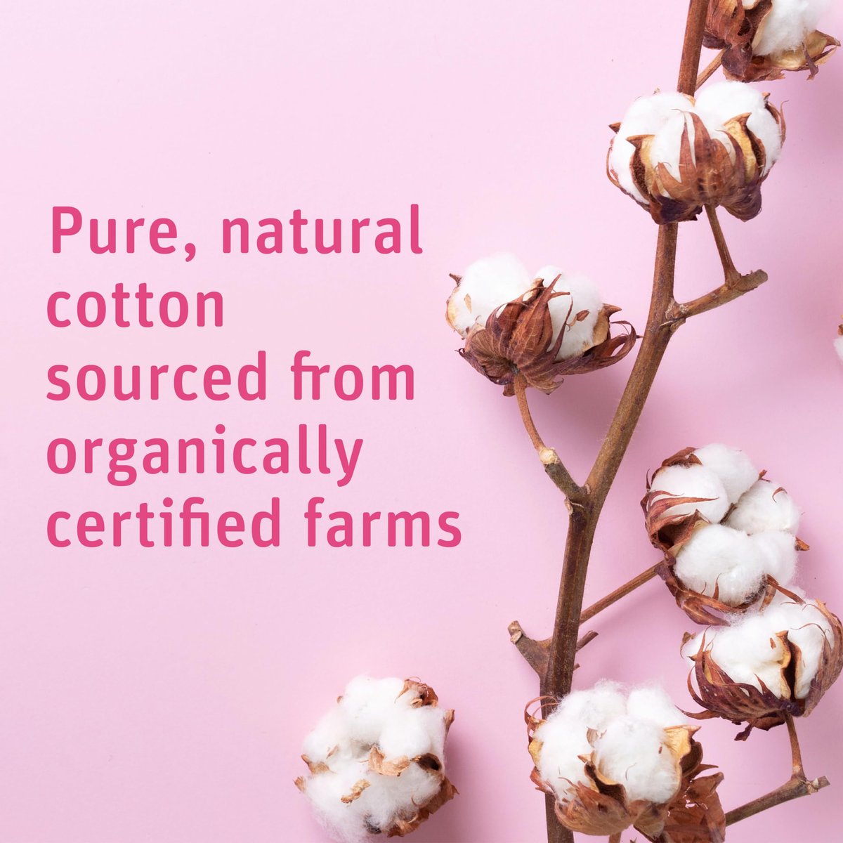 Simply Soft Premium Organic Cotton Rounds, 100 Count (Pack of 3) – 100% Certified Organic, Hypoallergenic, Lint-Free Cotton Pads for Skincare & Cosmetics - görsel 5