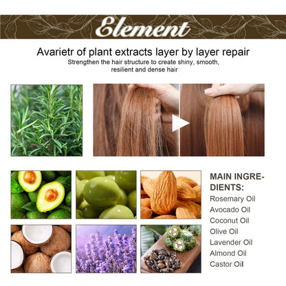 180 ML EELHOE Hair Growth Oil – Natural Rosemary Hair Oil for Dry, Damaged & Thinning Hair (3-Pack) Avelisse