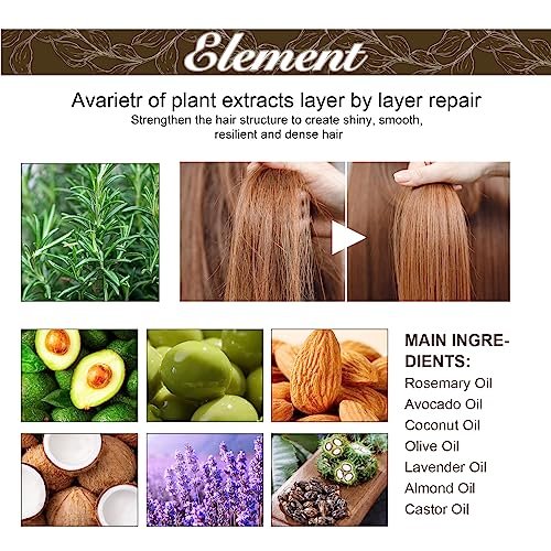 180 ML EELHOE Hair Growth Oil – Natural Rosemary Hair Oil for Dry, Damaged & Thinning Hair (3-Pack) Avelisse