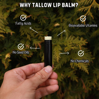 Beef Tallow Lip Balm – 100% Grass Fed & Organic, Natural Hydrating Lip Care (4 Pack, Black)