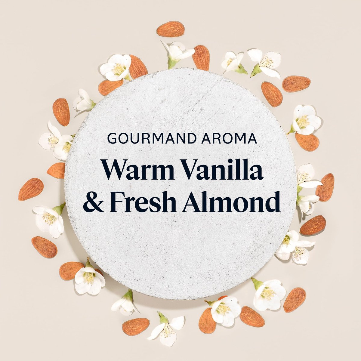 L’Occitane Almond Delicious Shower Gentle Body Wash – Moisturizing & Purifying Vegan Skincare for Radiant, Smooth Skin Avelisse