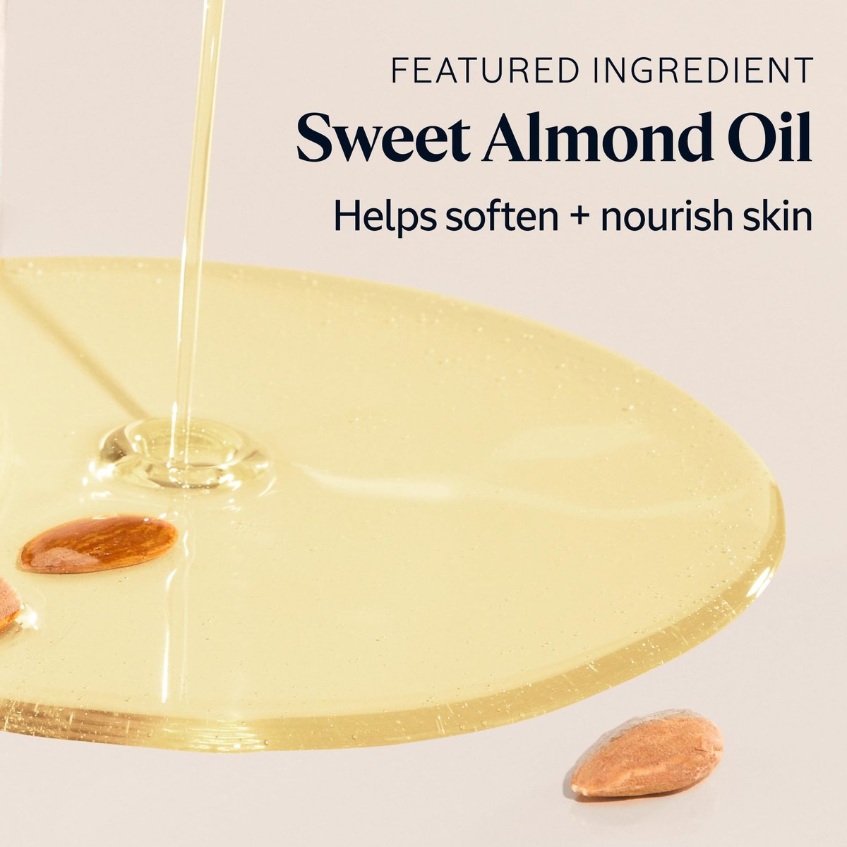 L’Occitane Almond Delicious Shower Gentle Body Wash – Moisturizing & Purifying Vegan Skincare for Radiant, Smooth Skin Avelisse
