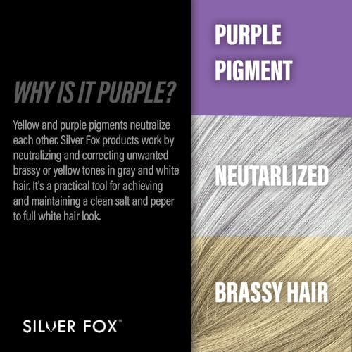 Godefroy Silver Fox Beard & Scalp Shampoo for Men – Gray Reducing, Removes Brassy Tones, Moisturizes & Nourishes (3.17 oz, Pack of 3) Avelisse
