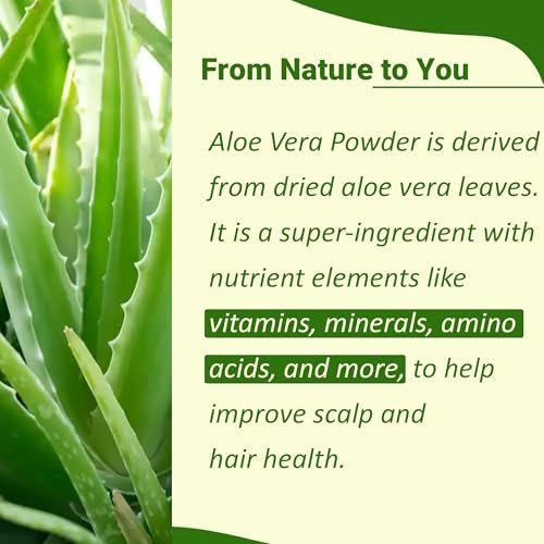 minature 100% Aloe Vera Powder (Aloe Barbadensis) 454g (16 oz) – Pure Aloe Vera Leaf Powder for DIY Skin, Health & Hair Care - görsel 4