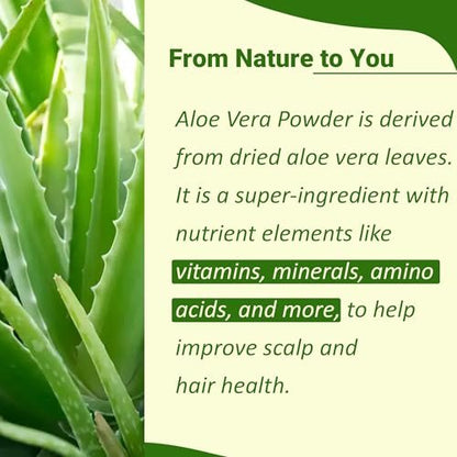 minature 100% Aloe Vera Powder (Aloe Barbadensis) 454g (16 oz) – Pure Aloe Vera Leaf Powder for DIY Skin, Health & Hair Care