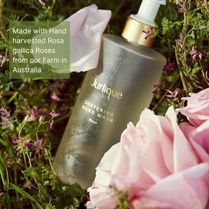 Jurlique Rose Hand Wash - Nourishing & Gentle Cleanser, 10 oz