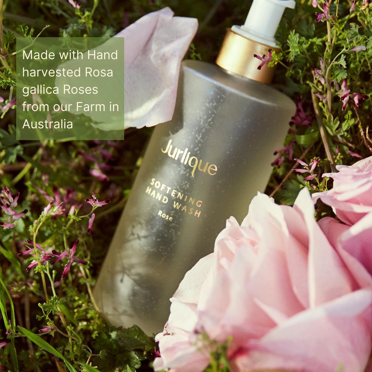Jurlique Rose Hand Wash - Nourishing & Gentle Cleanser, 10 oz - görsel 15