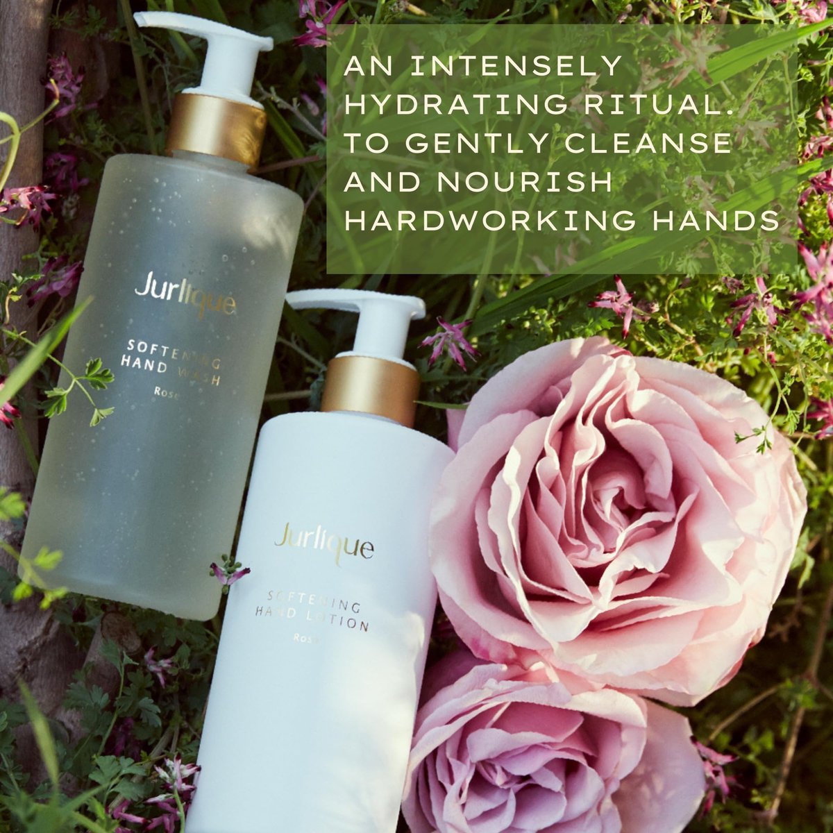Jurlique Rose Hand Wash - Nourishing & Gentle Cleanser, 10 oz - görsel 13