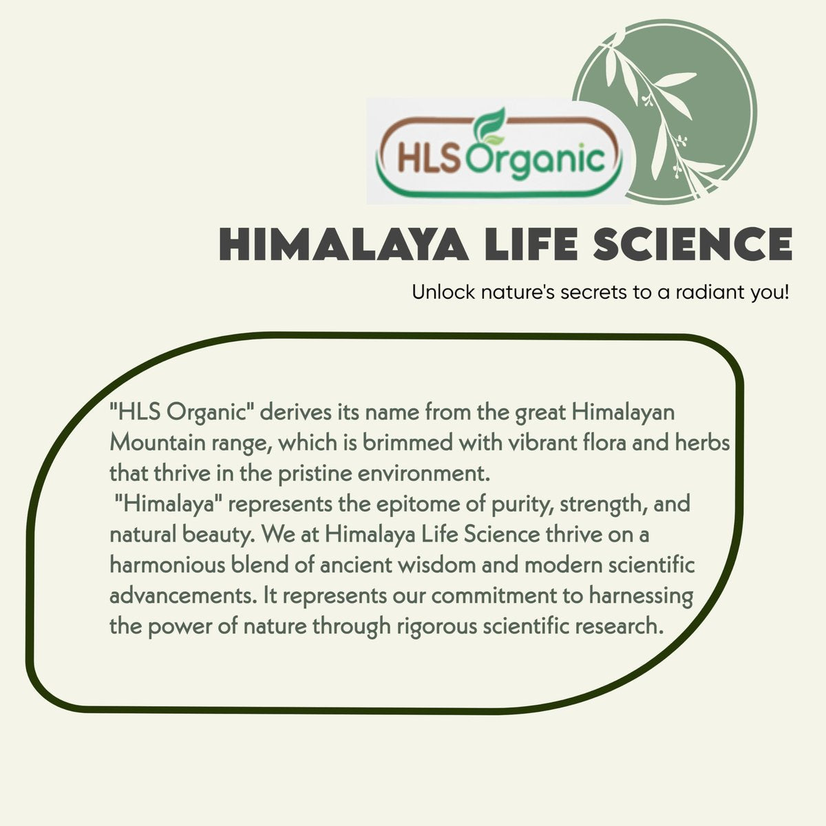 HLS Organic Henna Powder (Lawsonia Inermis) for Natural Orange-Red Hair Color | Certified Organic | 227g (8 oz) | No Chemicals or Additives Avelisse