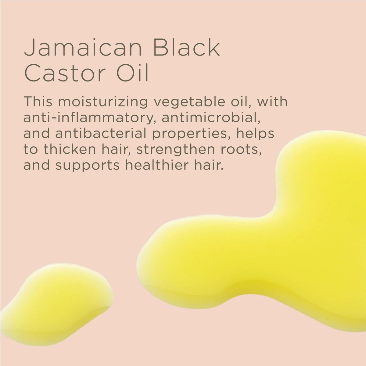 Hairitage Biotin & Jamaican Castor Oil Hair Conditioner for Thinning Hair - Promotes Hair Growth - Deep Conditioning Treatment - Extra-Strength Sulfate-Free - 13 Fl Oz - görsel 13