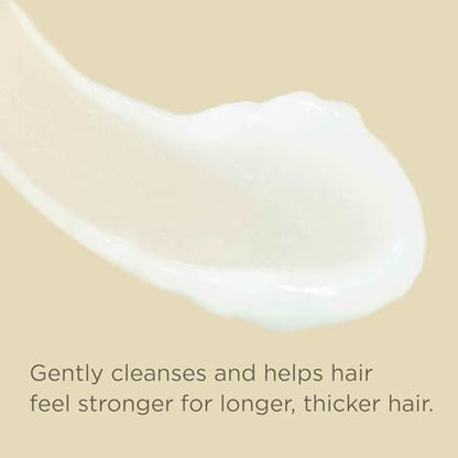 Hairitage Biotin Shampoo for Hair Growth - Sulfate-Free Thickening & Volumizing Formula with Jamaican Black Castor Oil for Women & Men - Hydrating Repair for Thinning & Hair Loss - 13 Fl Oz