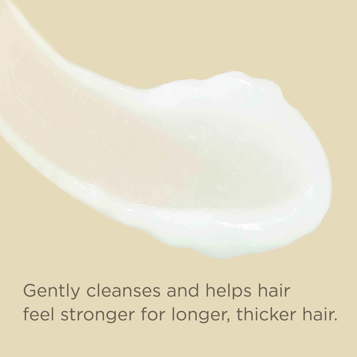 Hairitage Biotin Shampoo for Hair Growth - Sulfate-Free Thickening & Volumizing Formula with Jamaican Black Castor Oil for Women & Men - Hydrating Repair for Thinning & Hair Loss - 13 Fl Oz - görsel 13