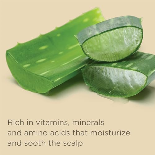 Hairitage Outta My Hair Gentle Daily Hydrating and Moisturizing Shampoo for Dry Hair with Jojoba Oil + Aloe Vera - Ultra-Mild + Moisture-Rich, 21 fl. oz. Avelisse