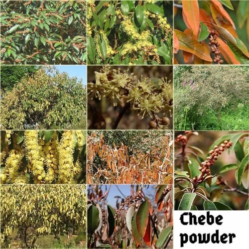 West African Scalp Awaken Oil — Herbal Blend with Castor Oil and Rosemary Oil for Fuller-Looking & Stronger-Feeling Hair for 3C–4C Kinky & Coily Hair - görsel 10