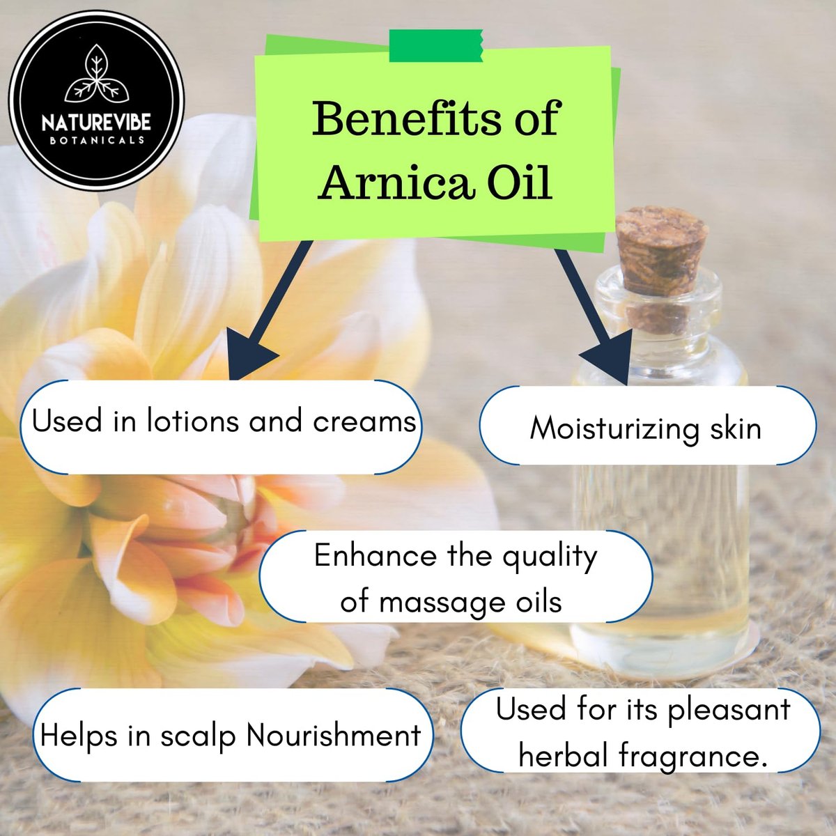 Naturevibe Botanicals Arnica Oil 32 oz - 100% Pure & Natural for Skin and Hair Care Avelisse