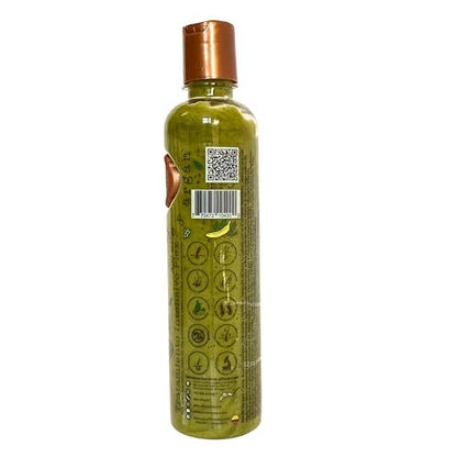 Ritual Botanico Tratamiento Natural Intensivo Plex con Banana, Aguacate y Argan - 400 ml (13.53 Fl Oz) - Sin Dimethicone ni Silicon - Green Avelisse