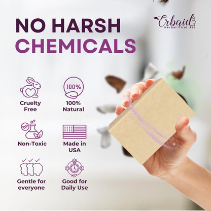Eczema Soap Bar for Face and Body – All Natural Dermatitis, Psoriasis Treatment for Dry Itchy Sensitive Skin Relief – Gentle Detoxifying, Healing, Anti-Itch, Oatmeal Goat Milk Wash for Kids & Adults