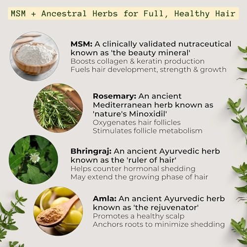 Qhemet Biologics MSM + Rosemary Scalp Nutrients Balm | Food for Hair Growth | MSM, Rosemary, Bhringraj, Castor Oil & Coconut Oil | For Dry Scalp, Thinning & Slow Growth | Vegan (4 oz) Avelisse