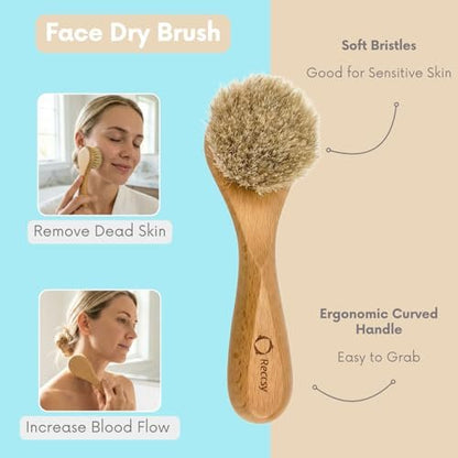 4pcs Dry Brushing Body Brush Set for Lymphatic Drainage - Natural Bristle Dry Skin Brush, Facial Brush, Exfoliating Scrubber, Wood Therapy Massage Tool with Gua Sha, Anti-Cellulite Avelisse