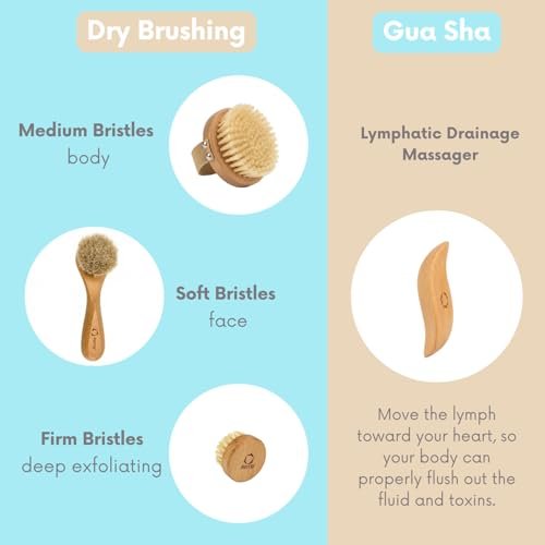 4pcs Dry Brushing Body Brush Set for Lymphatic Drainage - Natural Bristle Dry Skin Brush, Facial Brush, Exfoliating Scrubber, Wood Therapy Massage Tool with Gua Sha, Anti-Cellulite Avelisse
