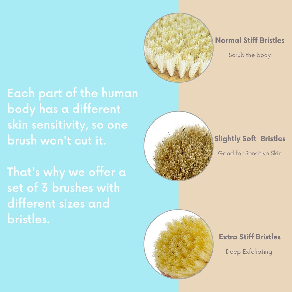4pcs Dry Brushing Body Brush Set for Lymphatic Drainage - Natural Bristle Dry Skin Brush, Facial Brush, Exfoliating Scrubber, Wood Therapy Massage Tool with Gua Sha, Anti-Cellulite Avelisse