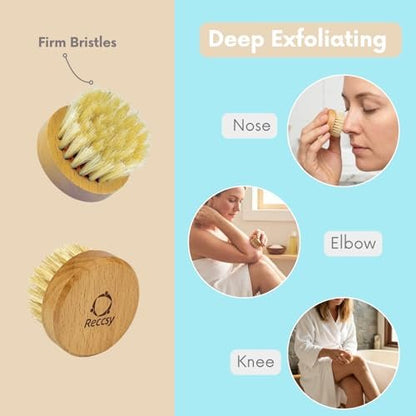 4pcs Dry Brushing Body Brush Set for Lymphatic Drainage - Natural Bristle Dry Skin Brush, Facial Brush, Exfoliating Scrubber, Wood Therapy Massage Tool with Gua Sha, Anti-Cellulite Avelisse