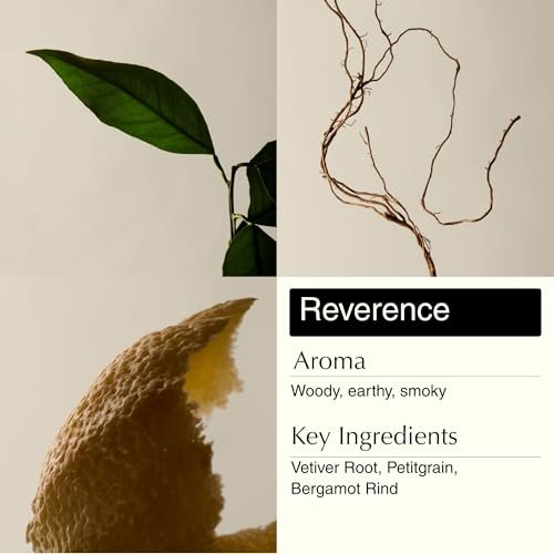 Aesop Resurrection & Reverence Aromatique Hand Wash Set – Nourishing Hand Wash & Gentle Exfoliating Hand Soap Duo | Botanical Cleansers with Hydrating Essential Oil Blend | 16.9 oz Each (2 Pack) Avelisse