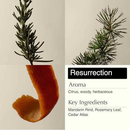 Aesop Resurrection & Reverence Aromatique Hand Wash Set – Nourishing Hand Wash & Gentle Exfoliating Hand Soap Duo | Botanical Cleansers with Hydrating Essential Oil Blend | 16.9 oz Each (2 Pack) Avelisse