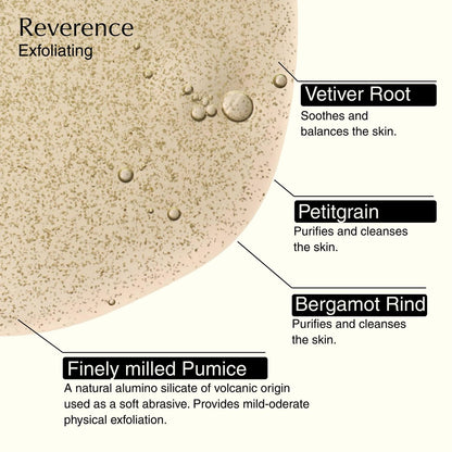 Aesop Resurrection & Reverence Aromatique Hand Wash Set – Nourishing Hand Wash & Gentle Exfoliating Hand Soap Duo | Botanical Cleansers with Hydrating Essential Oil Blend | 16.9 oz Each (2 Pack) Avelisse