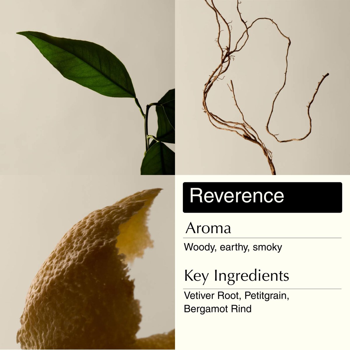 Aesop Resurrection & Reverence Aromatique Hand Wash Set – Nourishing Hand Wash & Gentle Exfoliating Hand Soap Duo | Botanical Cleansers with Hydrating Essential Oil Blend | 16.9 oz Each (2 Pack) Avelisse