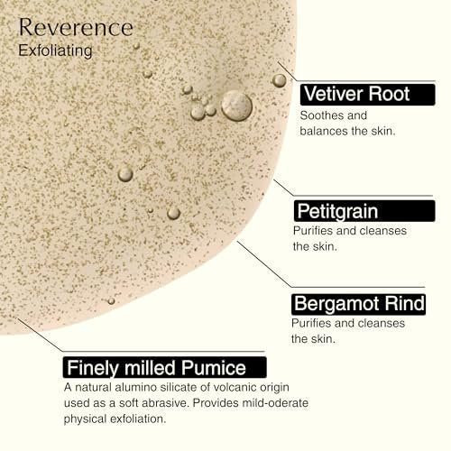 Aesop Resurrection & Reverence Aromatique Hand Wash Set – Nourishing Hand Wash & Gentle Exfoliating Hand Soap Duo | Botanical Cleansers with Hydrating Essential Oil Blend | 16.9 oz Each (2 Pack) Avelisse