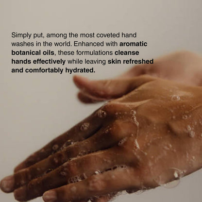Aesop Resurrection & Reverence Aromatique Hand Wash Set – Nourishing Hand Wash & Gentle Exfoliating Hand Soap Duo | Botanical Cleansers with Hydrating Essential Oil Blend | 16.9 oz Each (2 Pack) Avelisse
