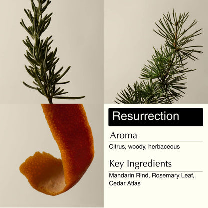 Aesop Resurrection & Reverence Aromatique Hand Wash Set – Nourishing Hand Wash & Gentle Exfoliating Hand Soap Duo | Botanical Cleansers with Hydrating Essential Oil Blend | 16.9 oz Each (2 Pack) Avelisse