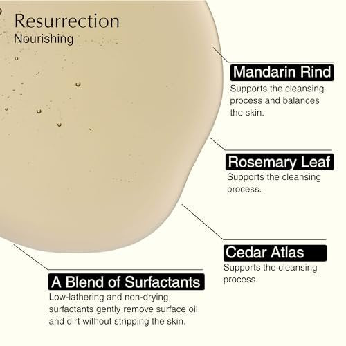Aesop Resurrection & Reverence Aromatique Hand Wash Set – Nourishing Hand Wash & Gentle Exfoliating Hand Soap Duo | Botanical Cleansers with Hydrating Essential Oil Blend | 16.9 oz Each (2 Pack) Avelisse