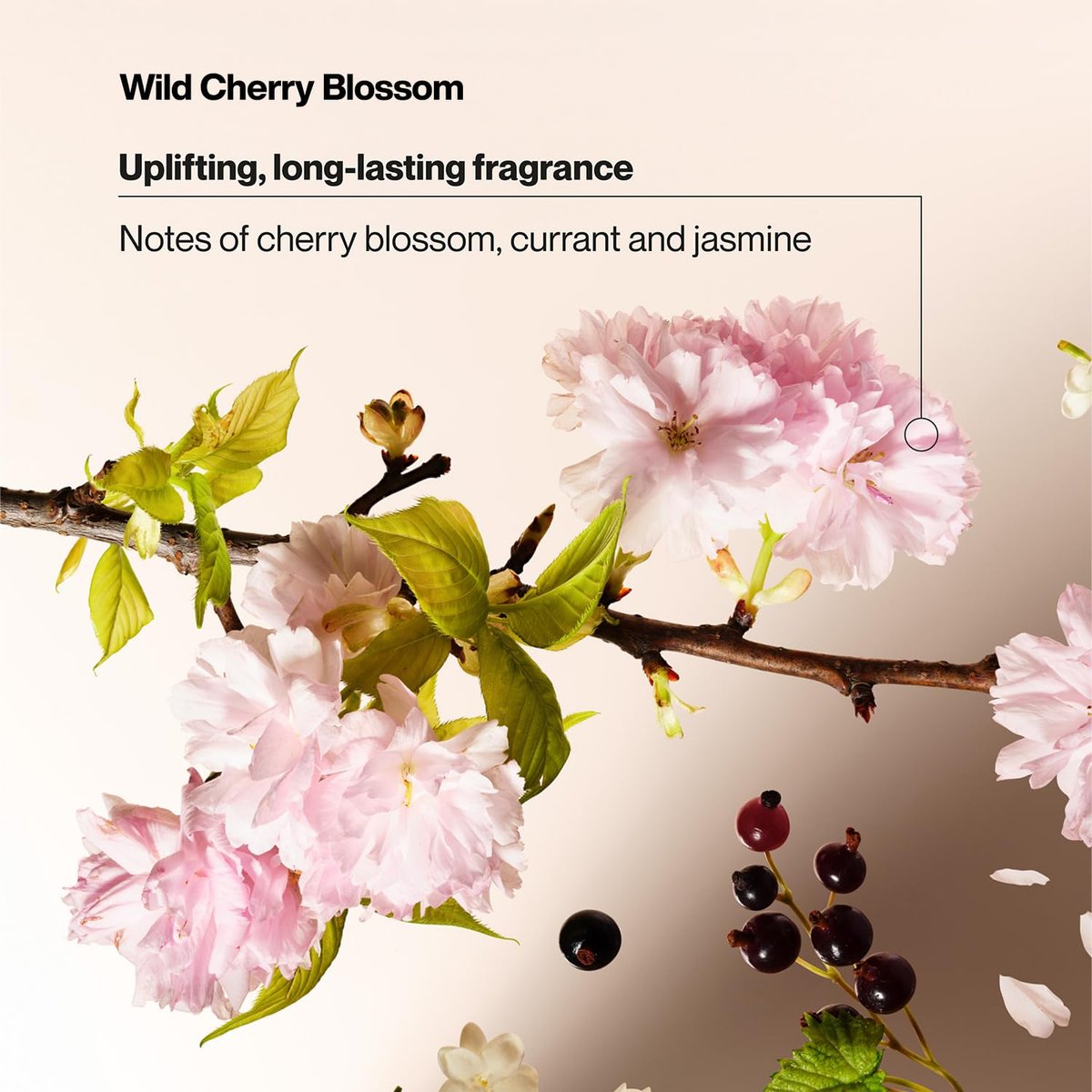 Suave Body Wash Variety 2-Pack: Sweet Pea & Violet + Wild Cherry Blossom – Gentle Floral Body Washes, 18 oz Each Avelisse