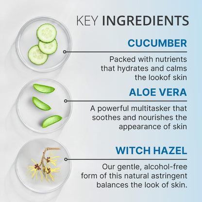 goPure Hit Refresh Hydrating Toner – Balanced pH, Clarifies Pores, Removes Excess Oil & Impurities – 4 Fl Oz Avelisse