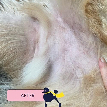 Finn Skin Hero Revitalizing Natural Dog Skin Balm - Soothes, Strengthens & Protects from Hot Spots, Itching and Irritation, 1.75 oz Avelisse