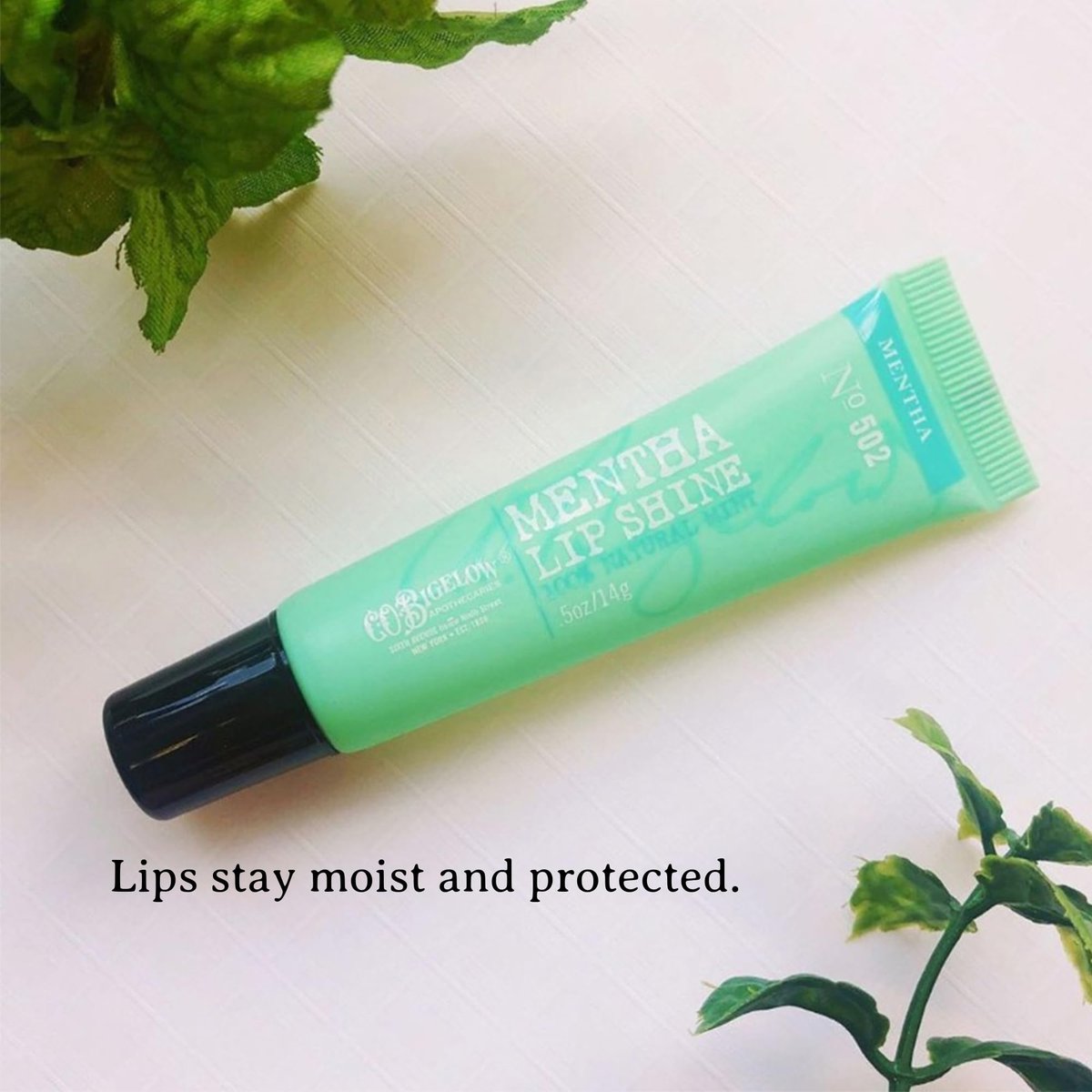 C.O. Bigelow Assorted Lip Balm Tubes Trio: Rose Salve, My Favorite Lip Balm & Mentha Shine (Pack of 3, 0.5 oz Each) Avelisse