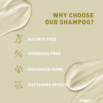 Just Nutritive Shampoo for Blonde Natural & Color-Treated Hair - Neutralize Brassy Tones, Paraben Free, 8 oz Avelisse