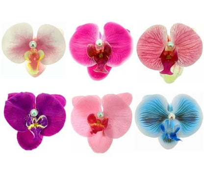 ALIMITOPIA Bohemian Fabric Orchid Flower Hair Clips - 6-Pack Multicolor Alligator Clips for Women